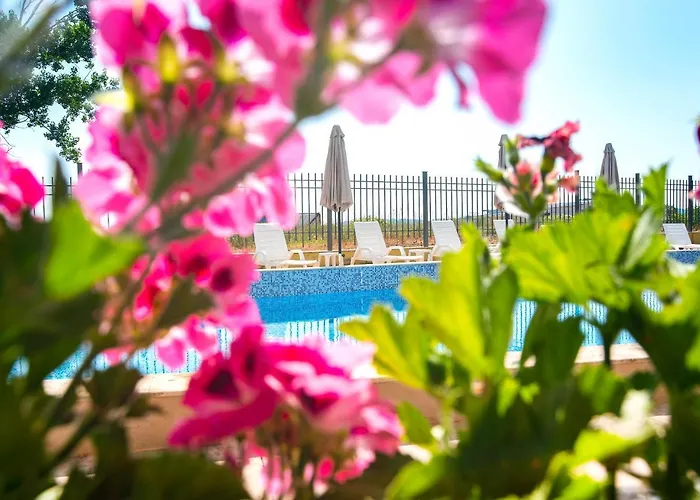 Royal Marina 酒店 3*