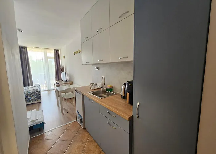 酒店 Royal Marina 3*